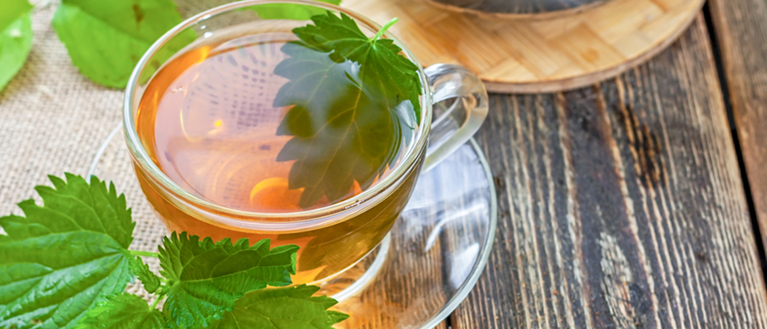 Brandnetel thee: de 15 gezondheidsvoordelen waar je op hebt gewacht