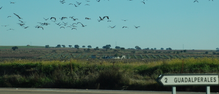 Extremadura: het mooiste Spanje dat niemand kent
