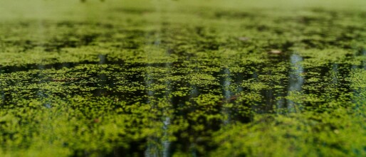 Troebel water wordt vanzelf weer helder