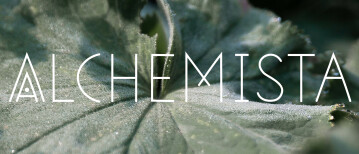 De reis naar je innerlijke alchemist(a)