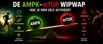 De AMPK - mTOR wipwap