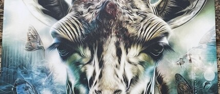 Kansen zien, waar anderen Obstakels ervaren