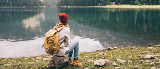 De Reis door het Land van Thuijs...