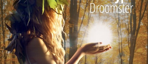 🍁 De Droomster | de optimist van de 12 archetypes