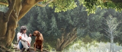 Waarom FOMO zo hard binnenkomt bij creatieve ondernemers...