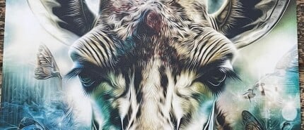 Kansen zien, waar anderen Obstakels ervaren