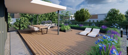Tuinontwerp daktuin in Hoogeveen