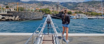 Walvissen en dolfijnen spotten op Madeira