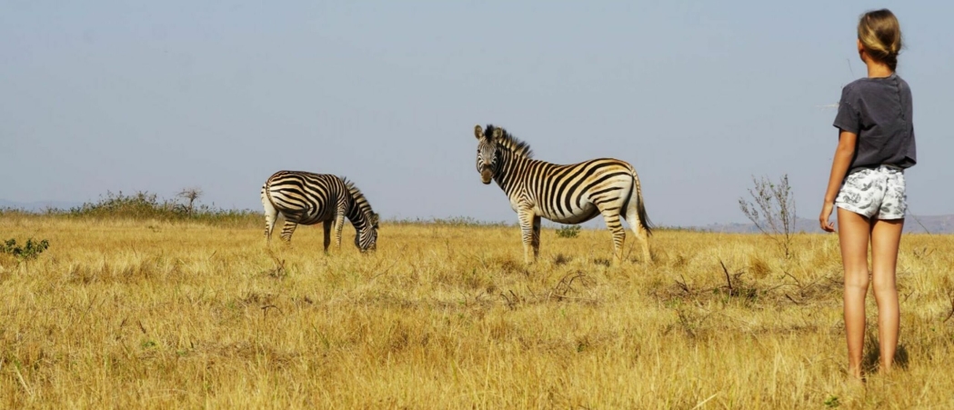 Route langs Drakensberg, St Lucia, eSwatini en Kruger