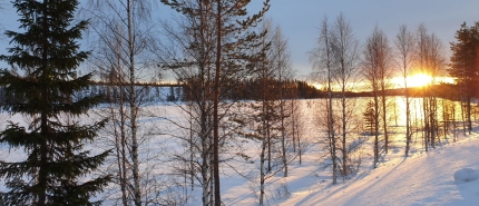 Zweeds Lapland in de winter: Malå als uitvalsbasis