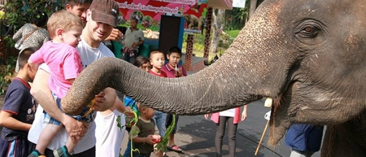Chiang Mai Zoo, te dicht bij de dieren