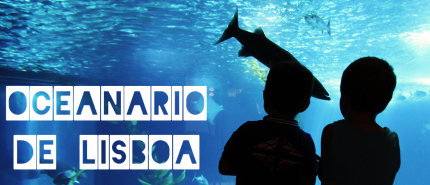 Bezoek aan het bijzondere Oceanarium van Lissabon
