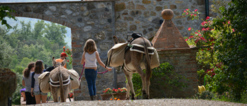 Ezeltrekking in Toscane, is iets compleet anders