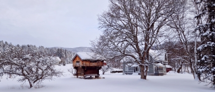Winter in Zuid-Noorwegen: skiën, husky’s en kabeljauw vissen