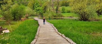 Verrassende uitjes met kinderen in prachtige Bela Krajina