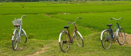 Fietsen op Bali, ontdek Indonesië met kinderen