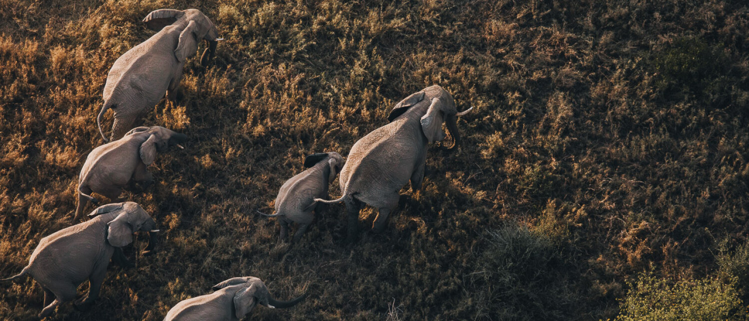 Travel Photography Guide • Our in my Lens