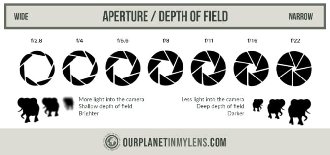 Understanding Aperture in Photography: Definition and how to use it