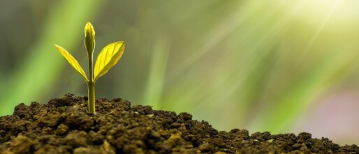 50-persoonlijke-groei-tips