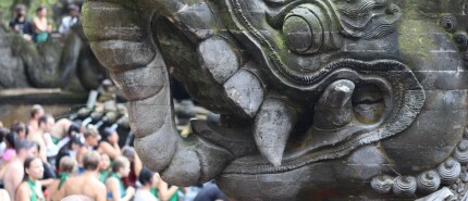 Wat te doen in Ubud op Bali? 14 Persoonlijke tips! 🛕🧘🌴