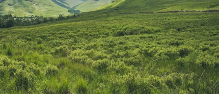 Tips voor het wonen in de buurt van een vliegveld