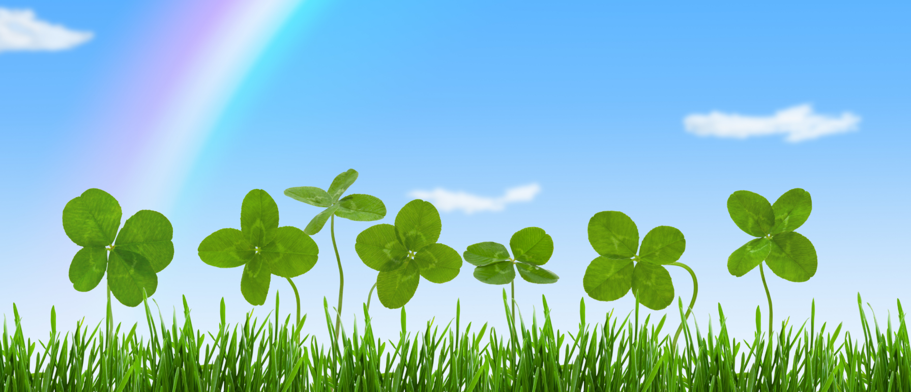 Betekenis Bonding: de kracht van echte verbinding