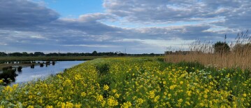 Excursieverslag – Privé vogelexcursie Binnenveldse Hooilanden, zondag 25 mei 2025