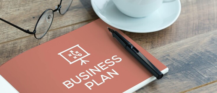 Een Stappenplan voor Succesvolle Businessplannen in 2025 met DISC