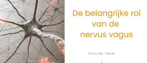 De belangrijke rol van de nervus vagus