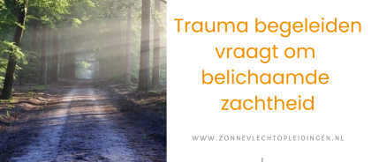Trauma begeleiden vraagt om belichaamde zachtheid