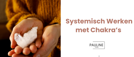 Nieuw bij Zonnevlecht Opleidingen: Systemisch Werken met Chakra’s