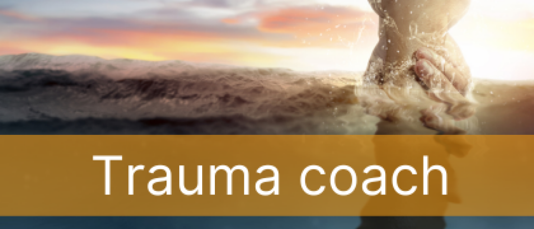 Trauma en overlevingsstrategieen