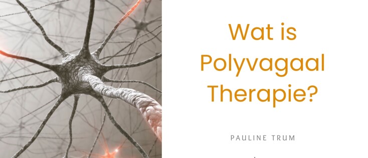 Een Eenvoudige Uitleg van Polyvagaal Therapie