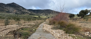 Na regen komt zonneschijn