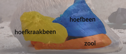 Over luchtbedden, ballonnen en paardenhoeven