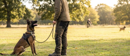 Grenzen stellen is iets anders dan straffen