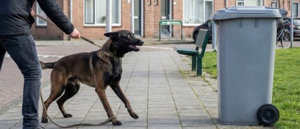 Angstfase rond 7–8 maanden: Heel normaal gedrag