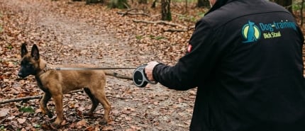 Waarom Je Puppy Alles Van De Grond Pakt