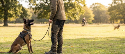 Setting boundaries is not the same as punishing