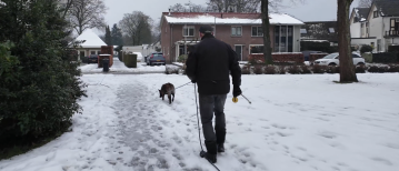 Which Dogs Are Suitable For Detection Or Tracking