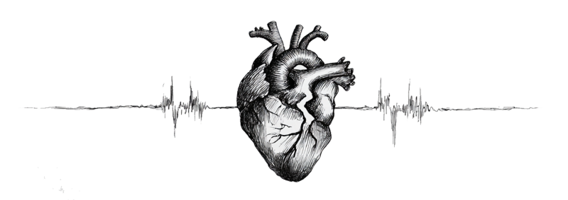 De hartslag van je organisatie