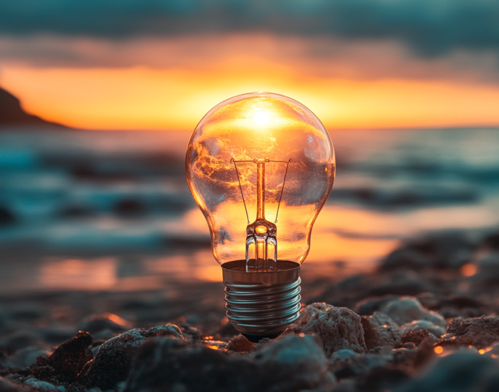 Startups Scaleups winstgevend opschalen met meer impact en minder gedoe