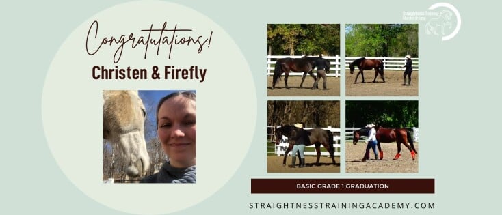 Christen Schweizer & Firefly Basic Grade 1