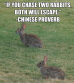 Chase One Rabbit At a Time - Straightness Training