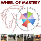 The Wheel of Mastery - Straightness Training