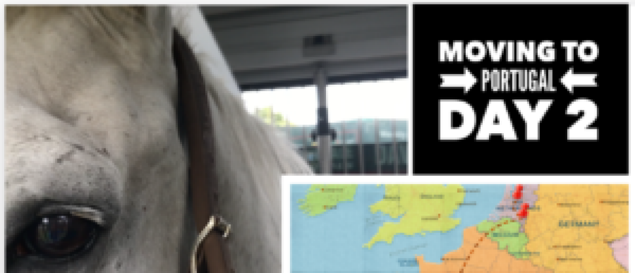 Moving To Portugal - Day 2: On Our Way to France