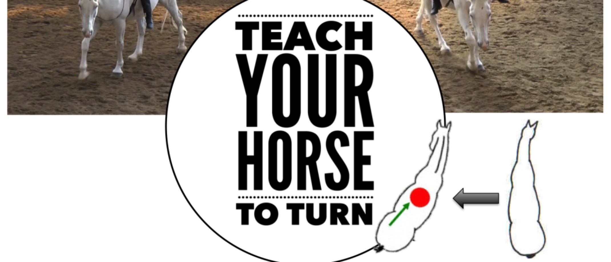Teach a Horse to Turn By Marijke de Jong