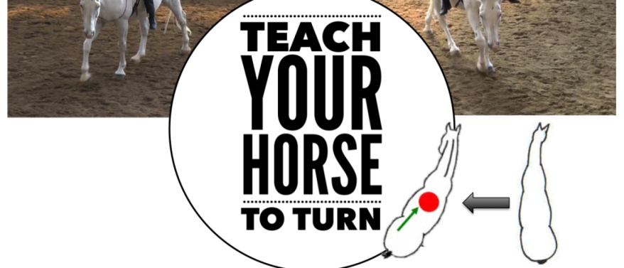 teach-a-horse-to-turn-by-marijke-de-jong
