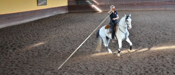 Garrocha training with Valdeci Evaristo
