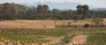 Three wineries in top 100 list of Worlds Best Vineyards